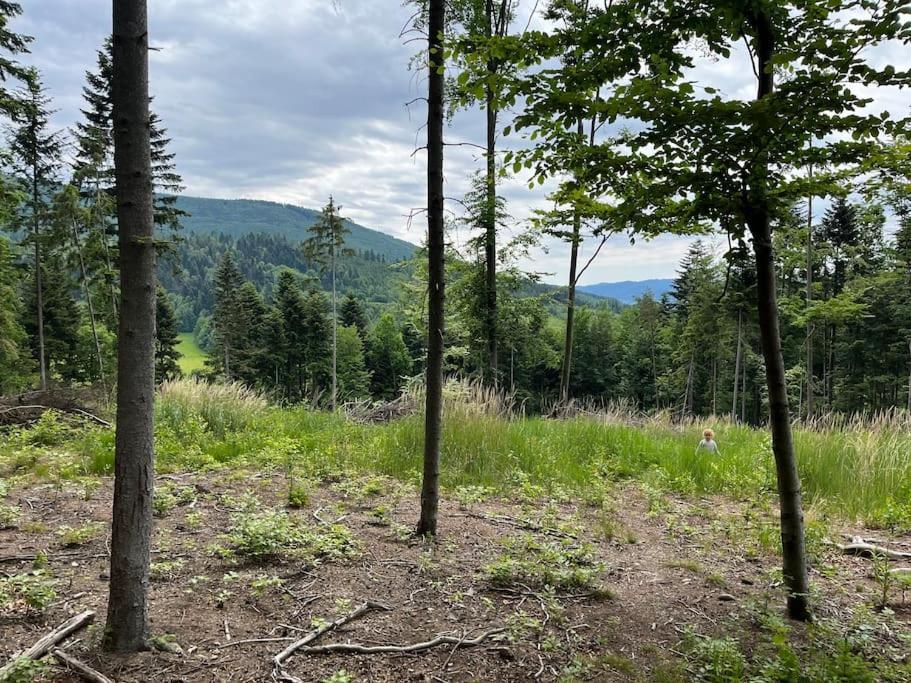 Chata Pod Pindulou Villa Roznov pod Radhostem Bagian luar foto